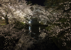 sakura