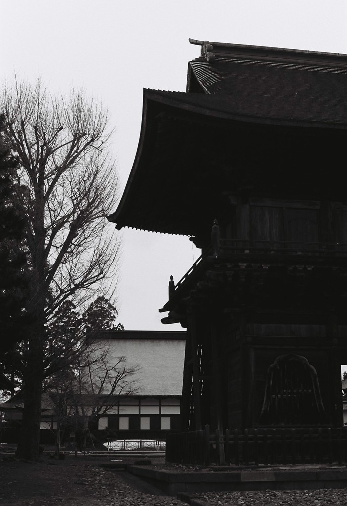 Monochrome