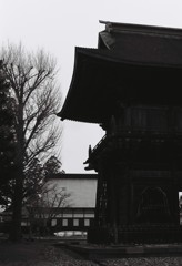 Monochrome
