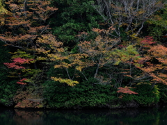The color of autumn