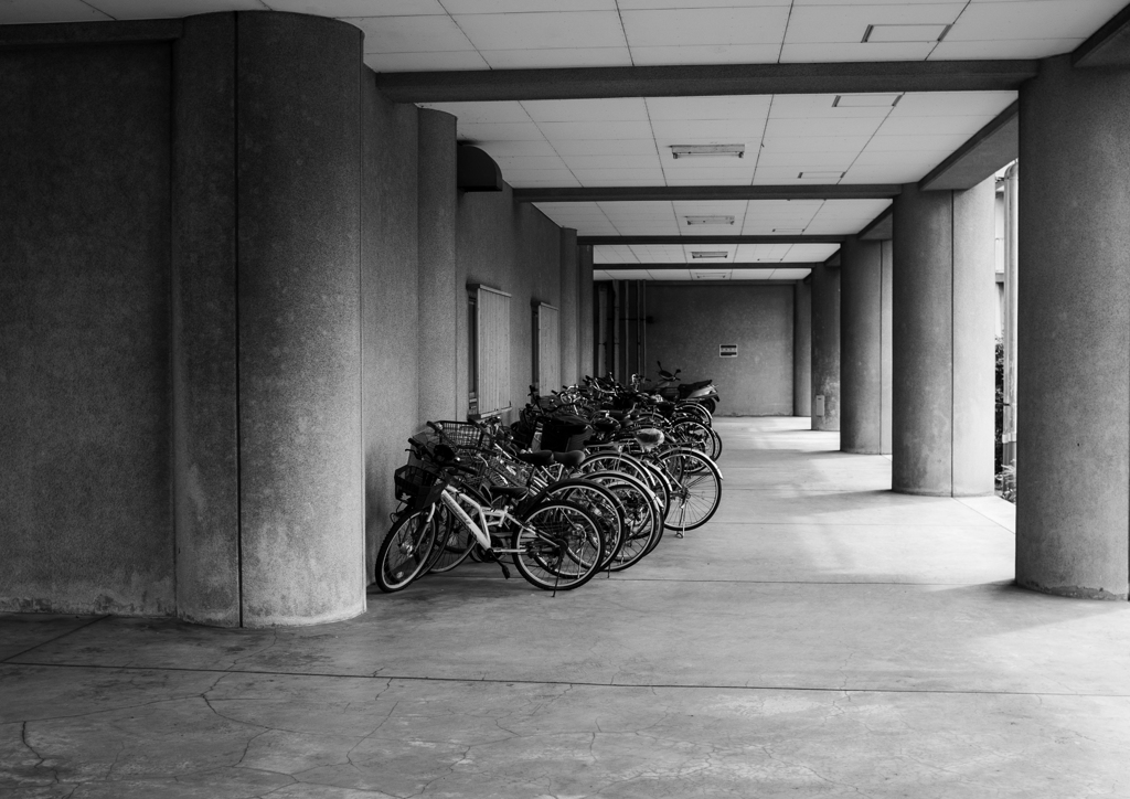 自転車