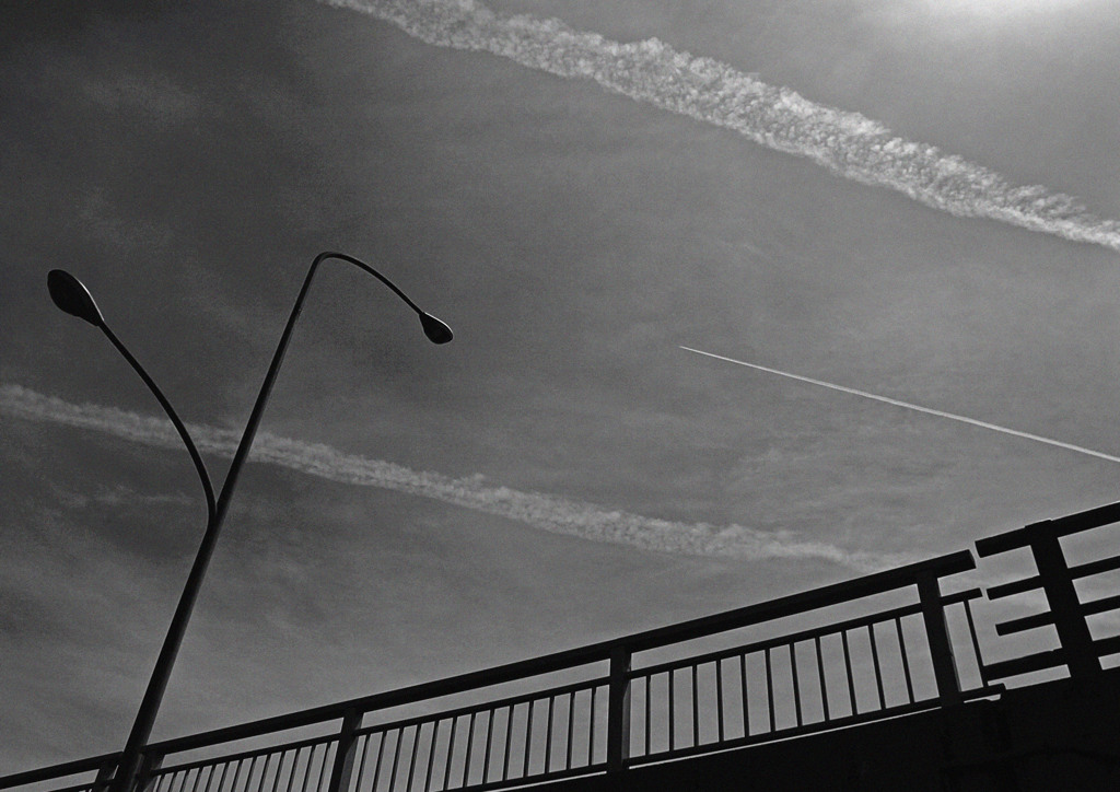 monochrome