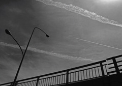 monochrome