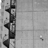 monochrome