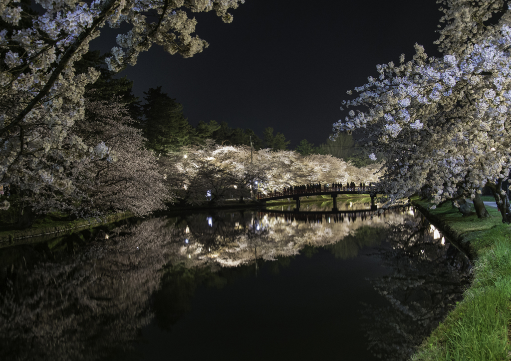 sakura