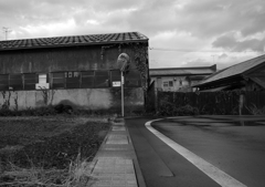 monochrome