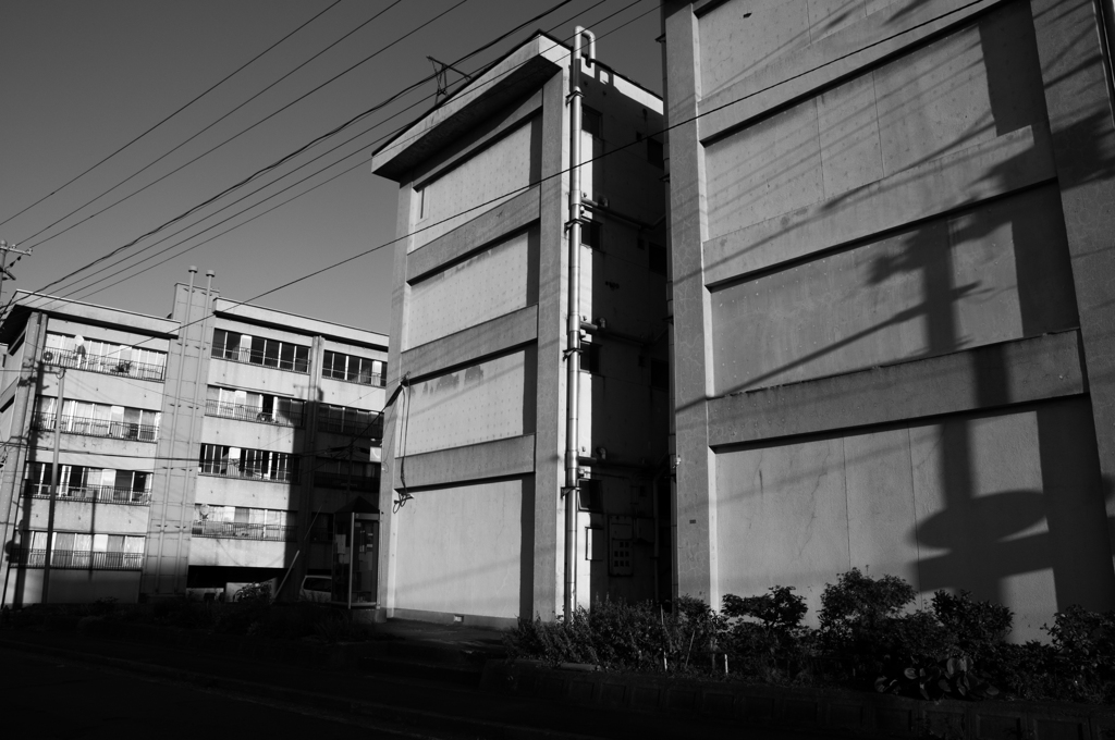 DSC_1318