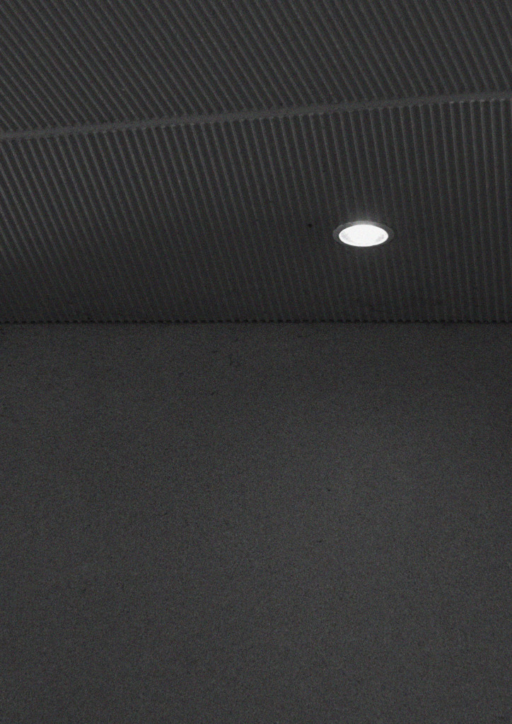 Light