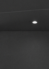 Light