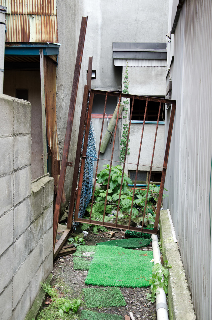 間の光景