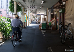 自転車百景