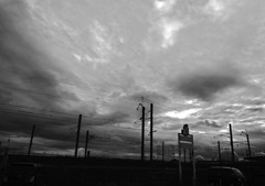 monochrome