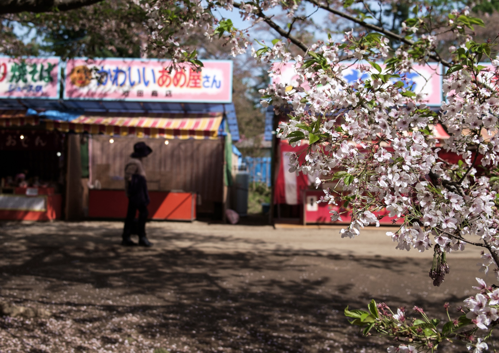 お祭り散歩