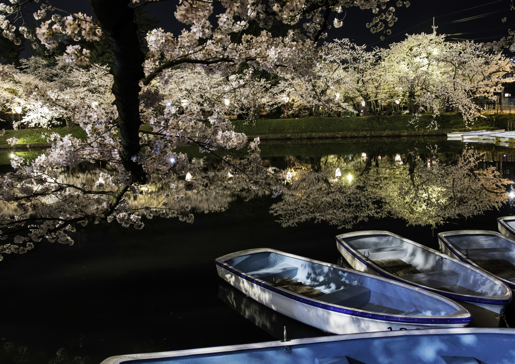 sakura