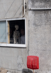 カルシュームな住人