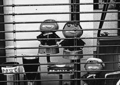 出してくれ！！