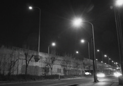 monochrome