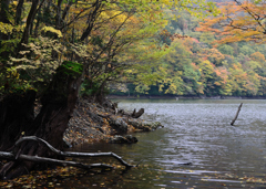 The color of autumn 4