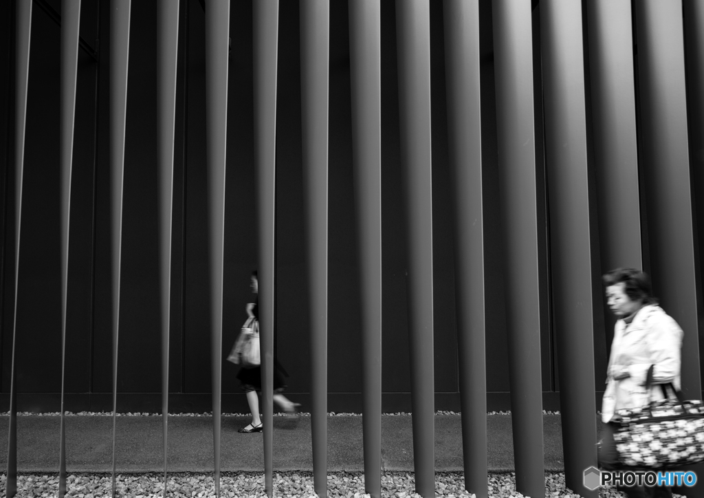 Usual daily life / monochrome