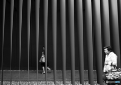 Usual daily life / monochrome