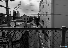 DSC_2147