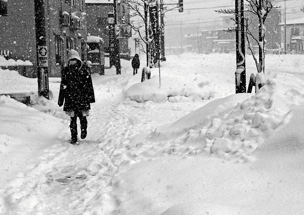 snap/Hirosaki 5