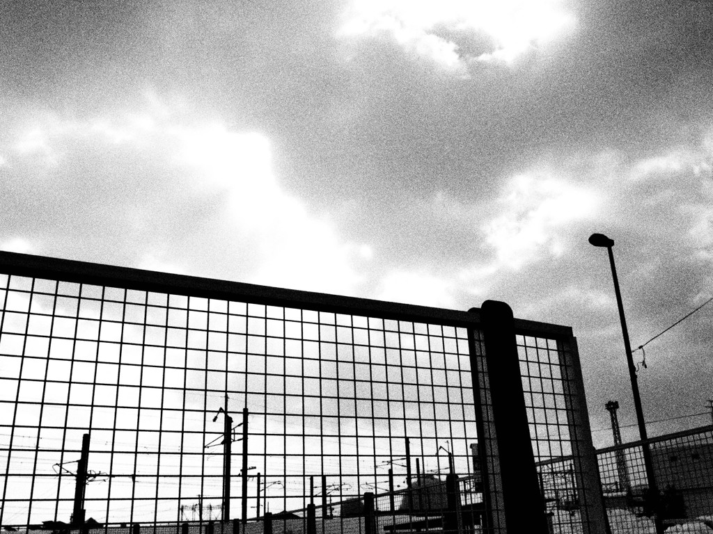 Monochrome