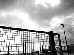 Monochrome