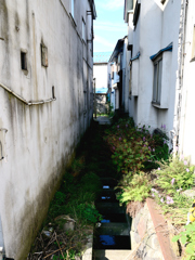 街の渓谷