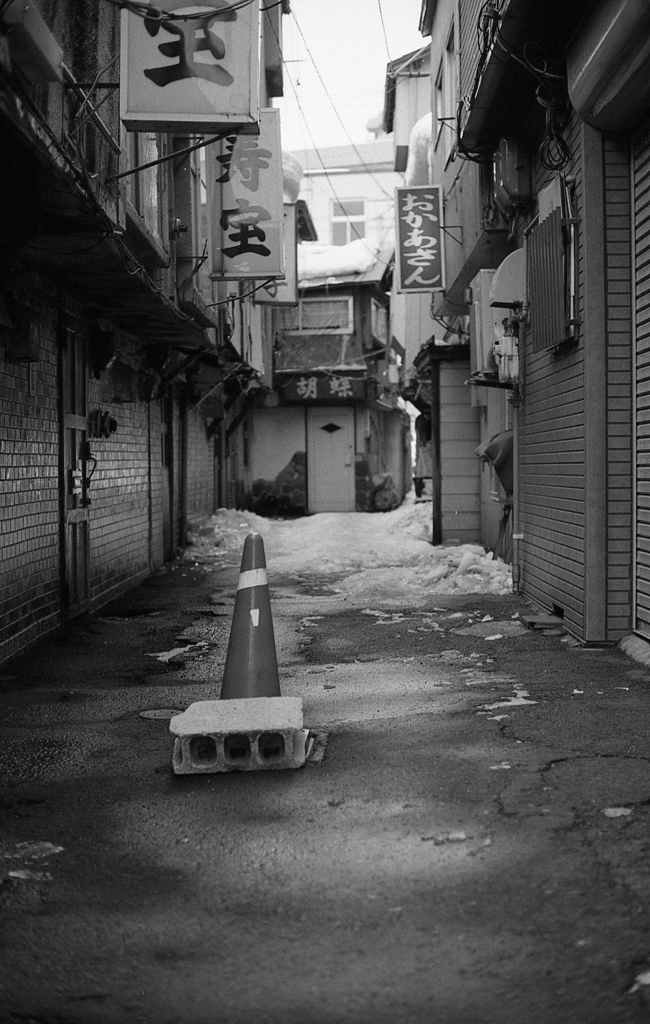 monochrome　1