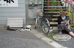 路地裏の仲間たち