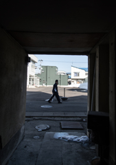 DSC_1961