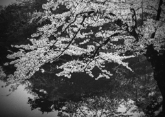 DSCF5761