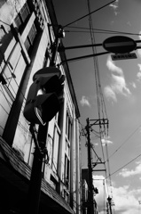 monochrome