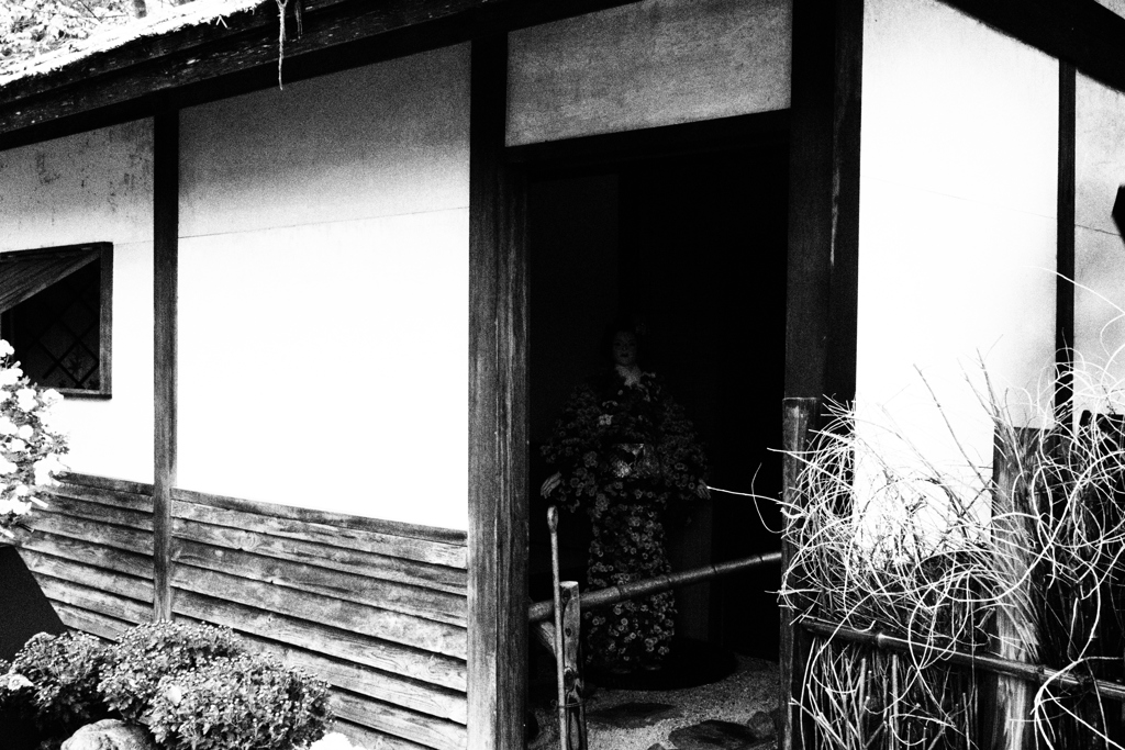 monochrome