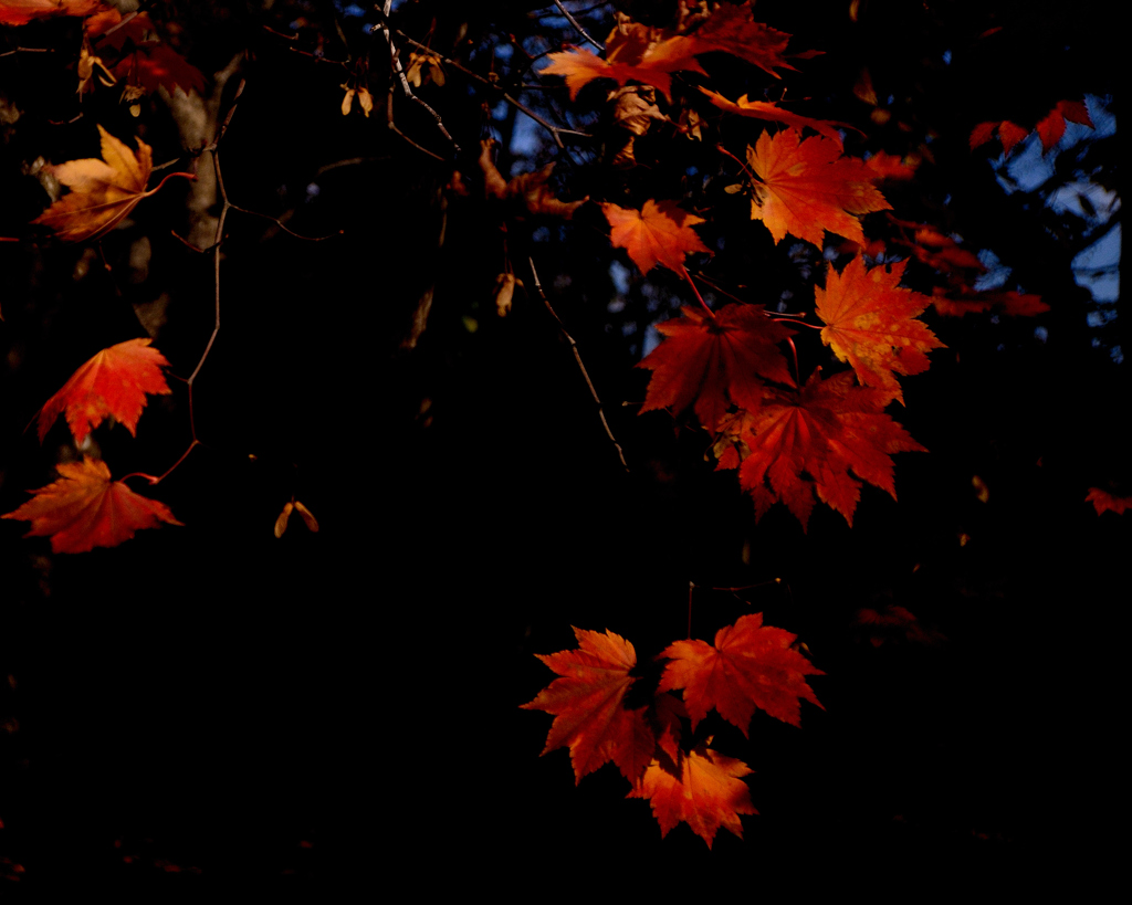 Colors