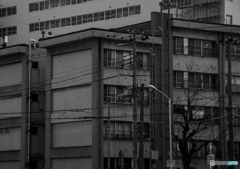 DSC_2087