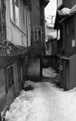 monochrome　2