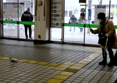 鳩のスナイパー