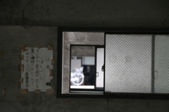 No title　IMG_2419