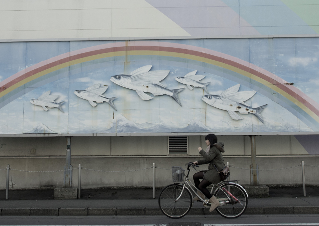 自転車百景　11