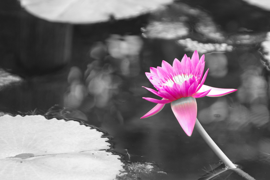 誘われて・・・