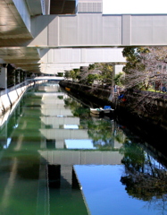 春の中村川（横浜の運河です）222