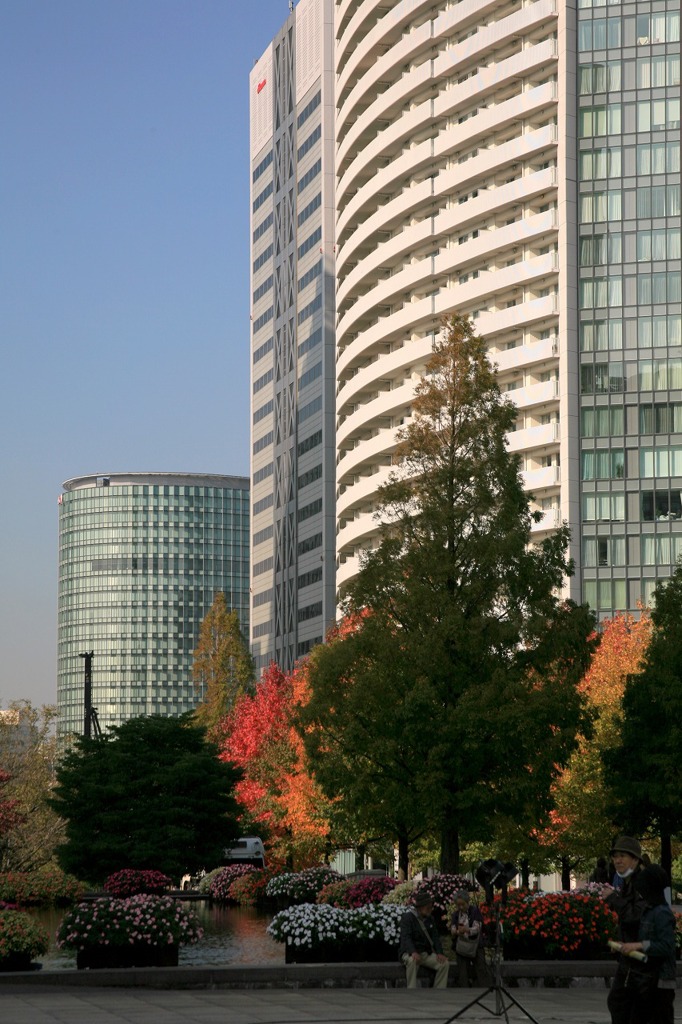 横浜も秋111
