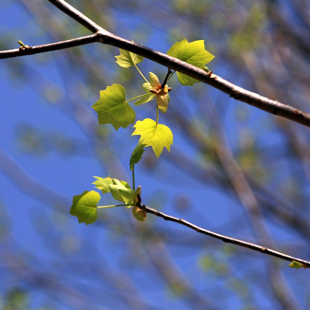 2014緑-2