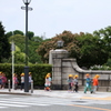 お散歩
