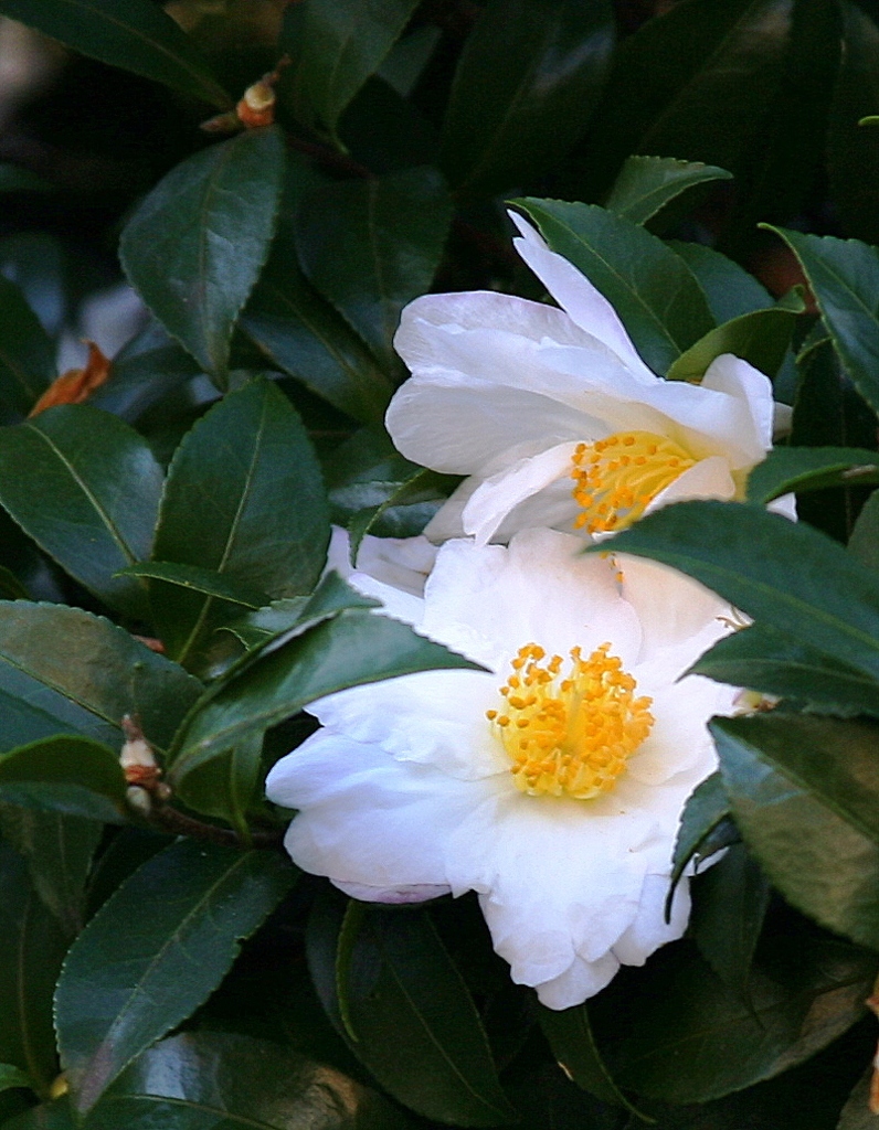 ちょっと遅かったね