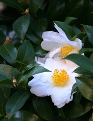 ちょっと遅かったね