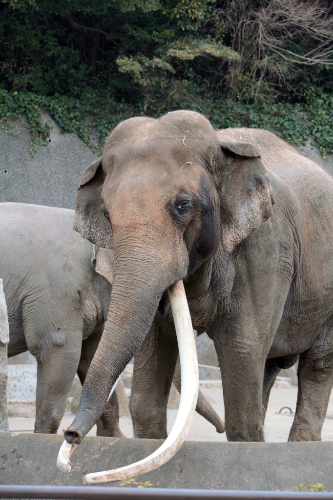 お話したいな～ 111