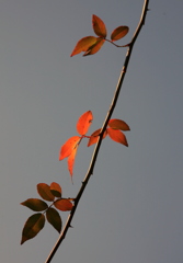 2014立春222